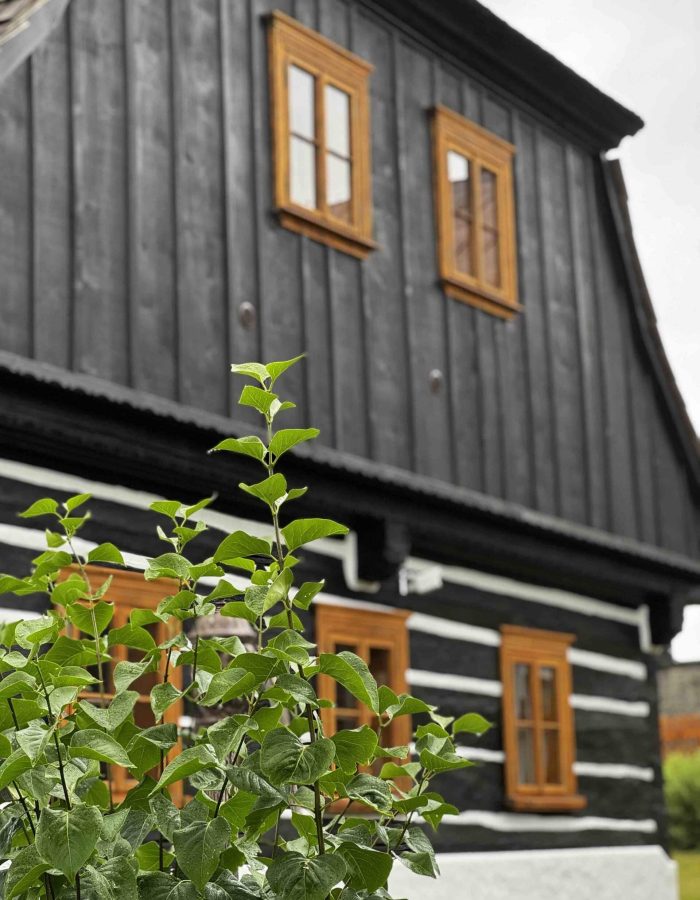 Pohádková roubenka Příchovice