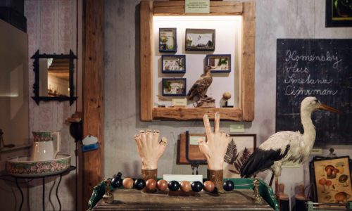 Muzeum Járy Cimrmana – 1 km