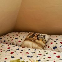 Podkroví - povlečení