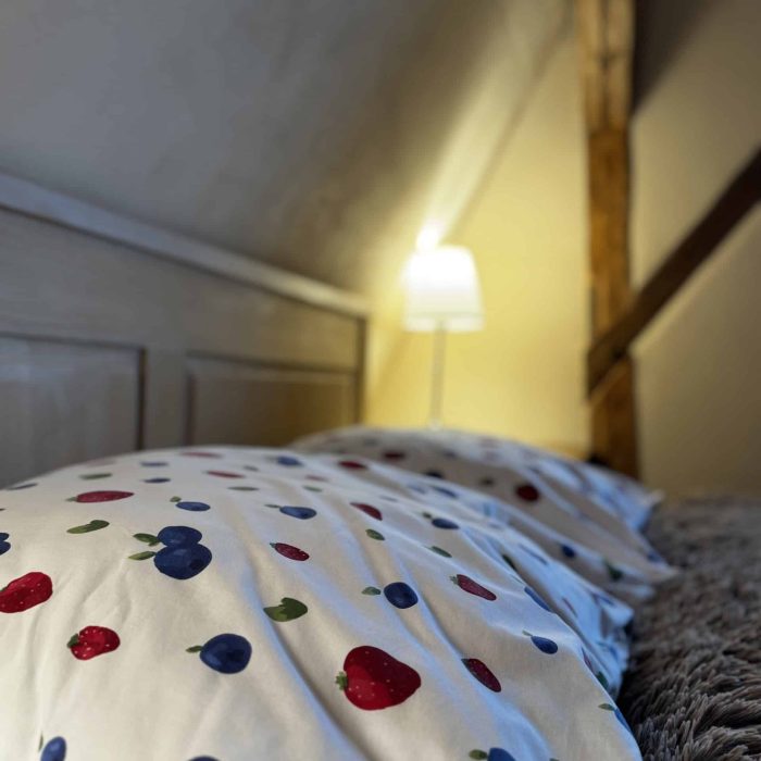 Pokoj ke kostelu v Pohádkové roubence