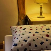 Pokoj se dvěma oddělenými lůžky v Pohádkové roubence