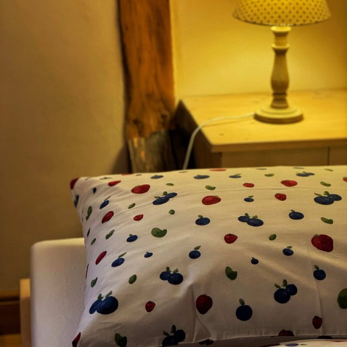 Pokoj se dvěma oddělenými lůžky v Pohádkové roubence